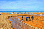 Woolacoombe339