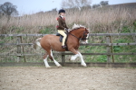 SBM_006093