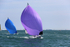 140621 2 GBR2442L WT7A3283