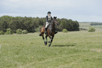 BVHT 140517  NXC -534