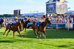 240726-Race 4-Rajaking-5351