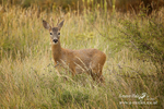 130620 -0005ab
