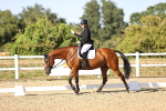 SBM_007647