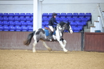 SBM_001225