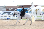 SBM_03253