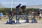 BPP_7542