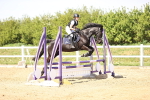 SBM_001391