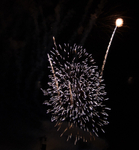 Fireworks portfolio