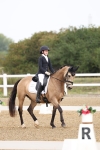 Class 6 - Novice 6 - 10.26-11.29 portfolio