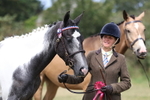 Class 20: Sports Horse In Hand portfolio