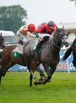 160626-Race 4-Mr King-2