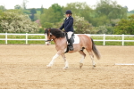 SBM_006416
