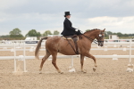 SBM_06413