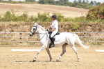 SBM_002887