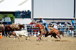 3HRodeo8-11-25_PRCASteer_05076_