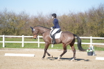 SBM_002833