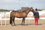 SBM_06829