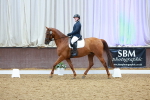 SBM_004953