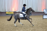 SBM_001313