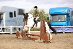 SBM_03542