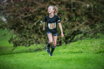 Dovedale Junior-105