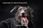 equiscot1444
