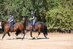 WJ6_7500