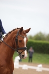 20260607-0010