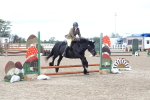 SBM_12230