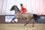 SBM_006035