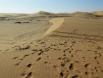 Namibia Walvis Bay desert dune view advancing right to left