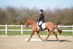 SBM_003345