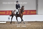27th Sept 2025 - DRESSAGE - MUIRMILL EC portfolio