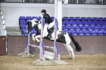 SBM_002001