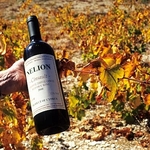 Wine in situ