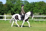 Class 27: Novice Working Hunter Pony portfolio