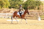 SBM_000385