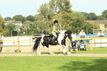SBM_67606