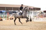 SBM_003385