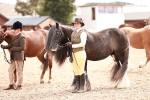 SBM_16321