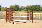 SBM_000810