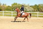 SBM_000987