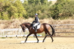 SBM_001390