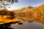 Llyn Gwynant autumn reflections A02-8