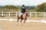 SBM_001537
