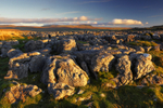 Limestone Pavement, Batty Moss.         ref 1388
