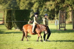 SBM_34171