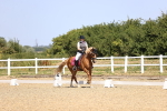 SBM_010395