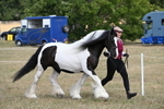 WJ6_6514