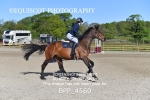 BPP_4560